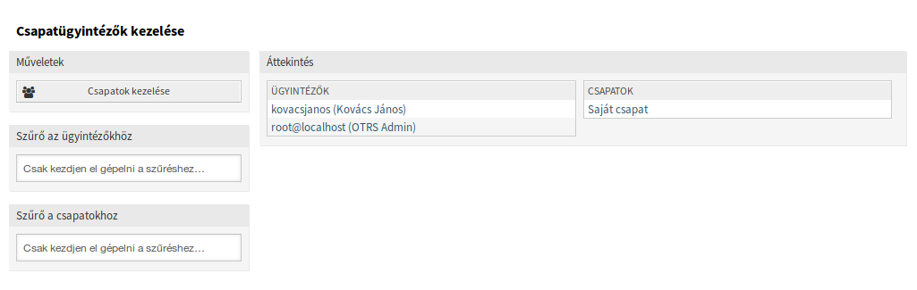Manage Team Agents Screen